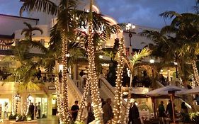 Coconut Grove Green Day'S